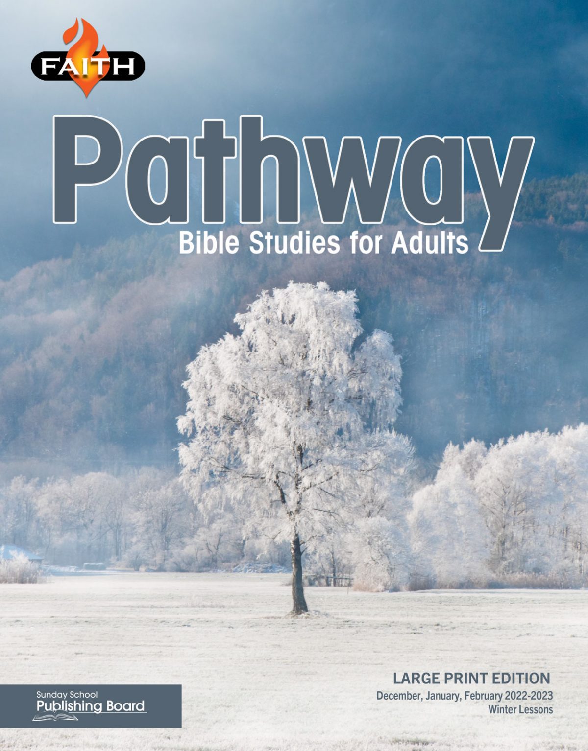 Faith Pathway Bible Studies for Adults (Ages 35 & Above) Sunday